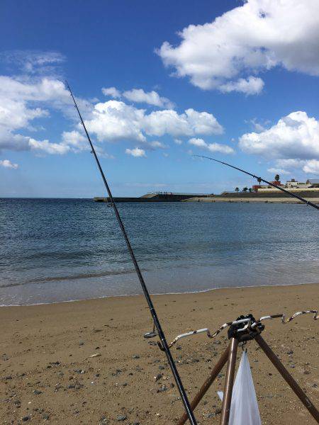 ゆっくりベラ釣り