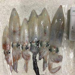 会社帰りプチエギング