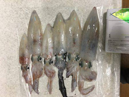 会社帰りプチエギング