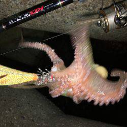 台風は嫌いです。