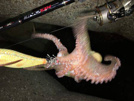 台風は嫌いです。