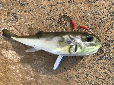 夕日に照らされながら