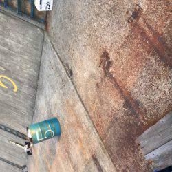 タチウオして帰ればよかったー