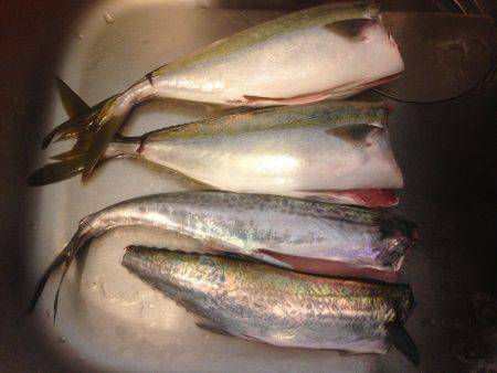 ハマツーのちサゴツー