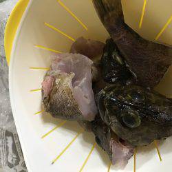 台風前にちょろっと