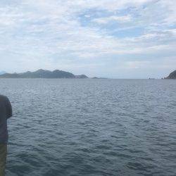 サゴシ、アジなど 筏ショアジギングで。