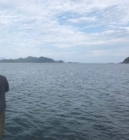 サゴシ、アジなど 筏ショアジギングで。