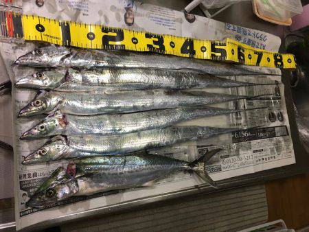 ワインド、FLAPでタチウオ