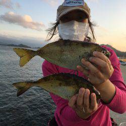 夕マズメ。久しぶりの唐泊漁港で釣り。