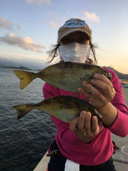 夕マズメ。久しぶりの唐泊漁港で釣り。