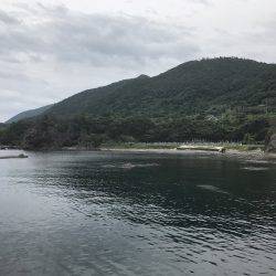 アオリイカ釣行 朝7時半から14時半まで。