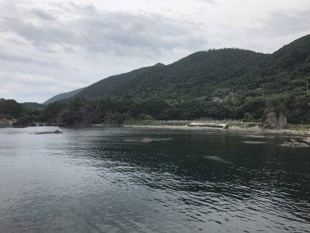 アオリイカ釣行 朝7時半から14時半まで。