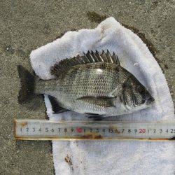 冨具崎港→師崎港