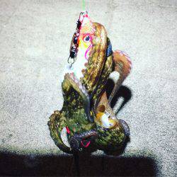 久しぶりの刀狩り