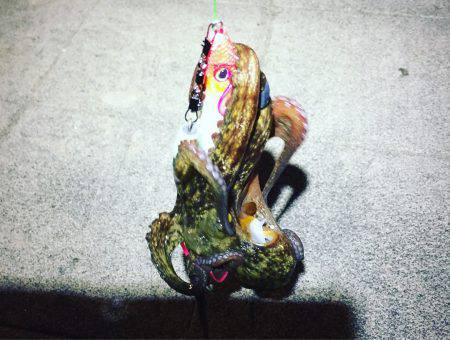 久しぶりの刀狩り