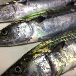 めずらしく2人とも