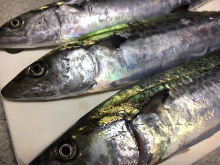 めずらしく2人とも