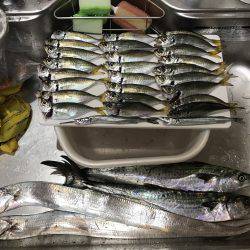 みんなが釣れるわけじゃない