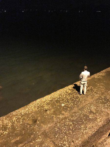 アオリイカ新子