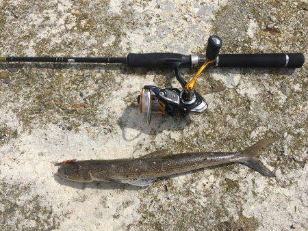 メタルマル爆釣