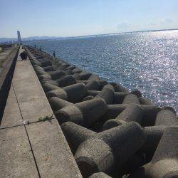 今年初ワインド釣果!