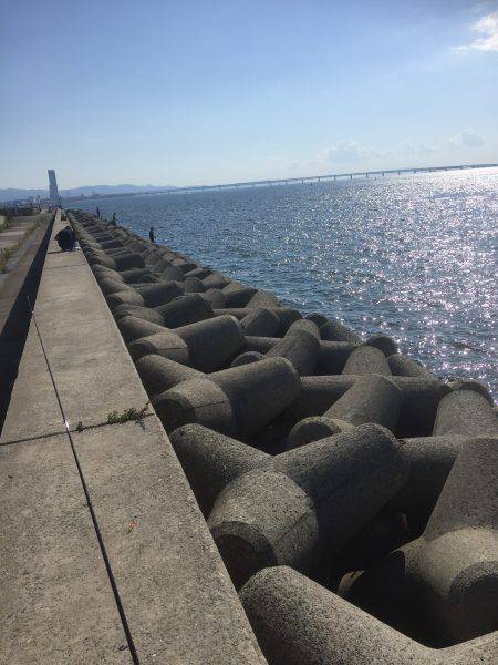 今年初ワインド釣果!