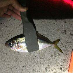 急に渋くなりました