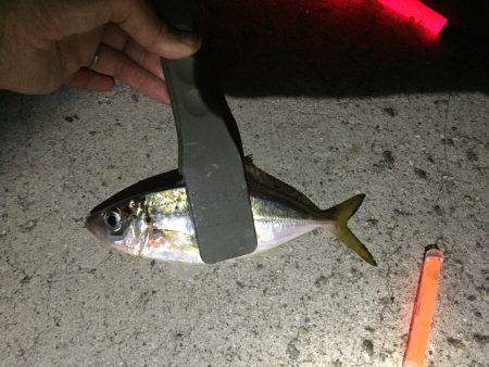 急に渋くなりました