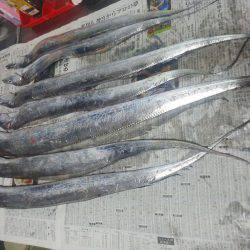 太刀魚ゲット・・・・・