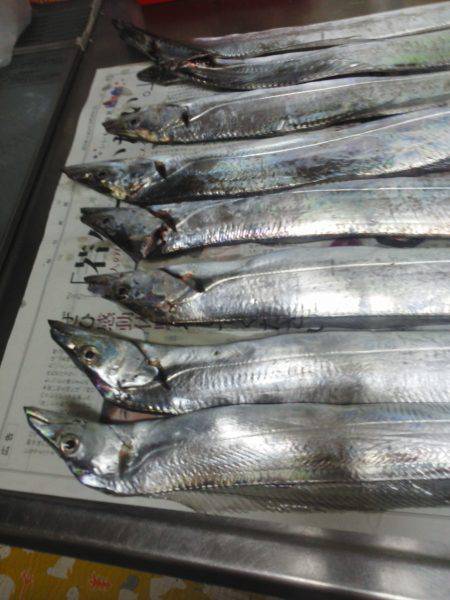 太刀魚ゲット・・・・・