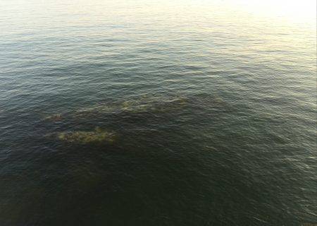 仕事帰りの短時間エギング