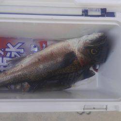 ルアーで初のビッグサイズ