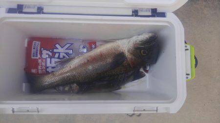 ルアーで初のビッグサイズ