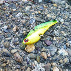 朝練(今週2回目）