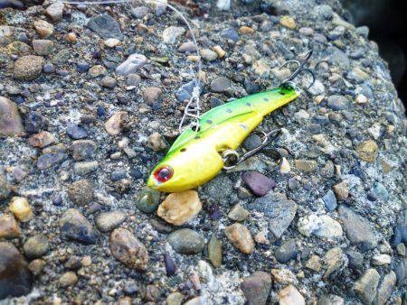 朝練(今週2回目）