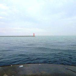 バリッコ・バリッコ・バリバリッコ～♬