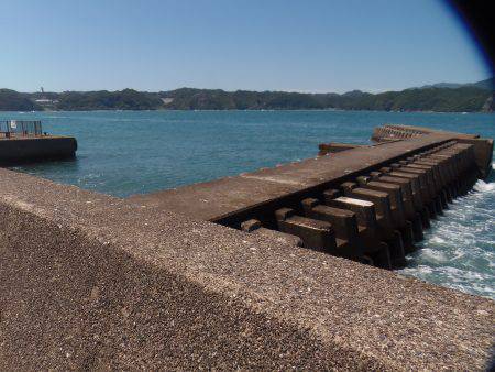 小アジ入れ食い！