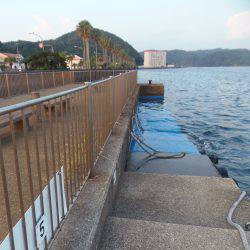 遠投サビキで小アジ３０匹