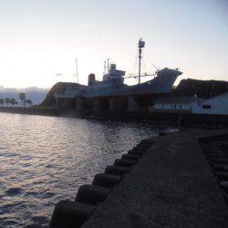 小アジ６１匹、シマアジ3匹