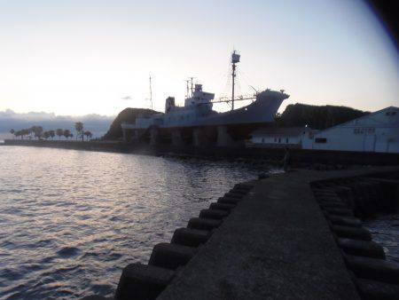 小アジ６１匹、シマアジ3匹