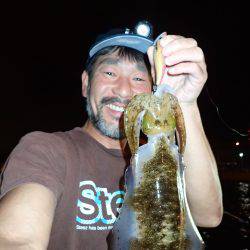 近海ボートエギング