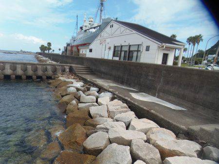 クロホシフエダイ２５センチ