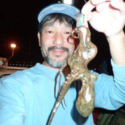 ボートエギング