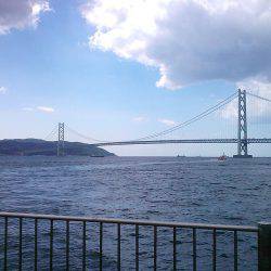 のませ&サビキ釣行