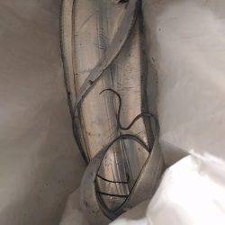 松茂でタチウオ