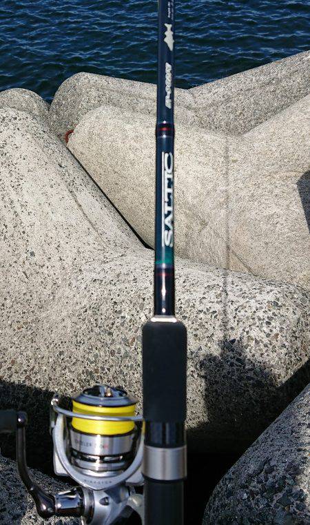 貝塚人工島 青物調査