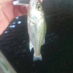 休憩時間にエントリー