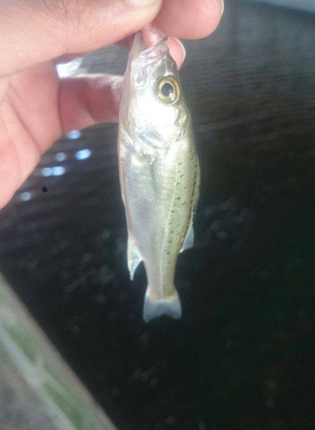 休憩時間にエントリー