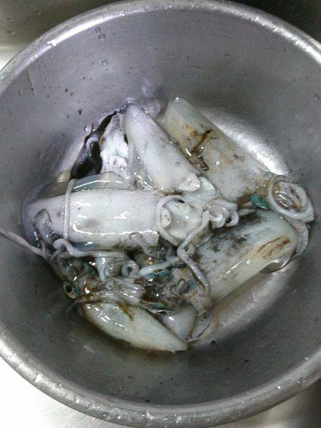 今シーズン初エギング