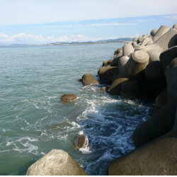 水軒テトラでタチウオ